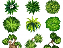 可以凈化室內(nèi)空氣的植物，這二十種您需要好好了解一下！