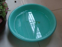 裝修完僅靠?jī)膳枥渌湍艹兹?？這個(gè)說(shuō)法連網(wǎng)友都出來(lái)辟謠！大家別再相信了！