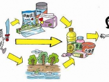 食品中有塑化劑嗎？這些食品中含有大量塑化劑，食用時(shí)一定要注意！