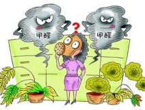 活性炭進(jìn)行甲醛治理真的有用嗎？