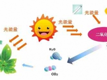 家中甲醛超標，什么才是甲醛治理的正確姿勢？