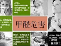 哪些綠植可以除甲醛？