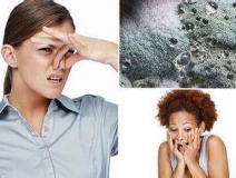 家里有異味怎么辦？科學除味、治理甲醛就對了！